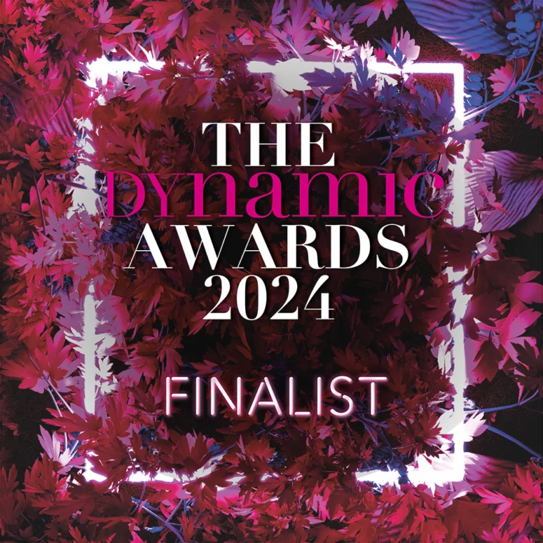 Finalist in the Dynamic Awards