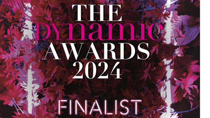 Dynamic Awards finalist graphical image